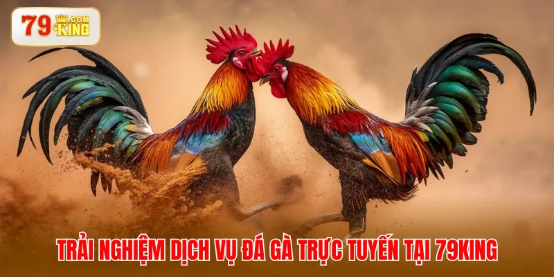 Trải nghiệm dịch vụ đá gà trực tuyến tại 79KING