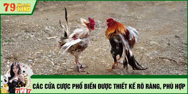 Các cửa cược phổ biến được thiết kế rõ ràng, phù hợp