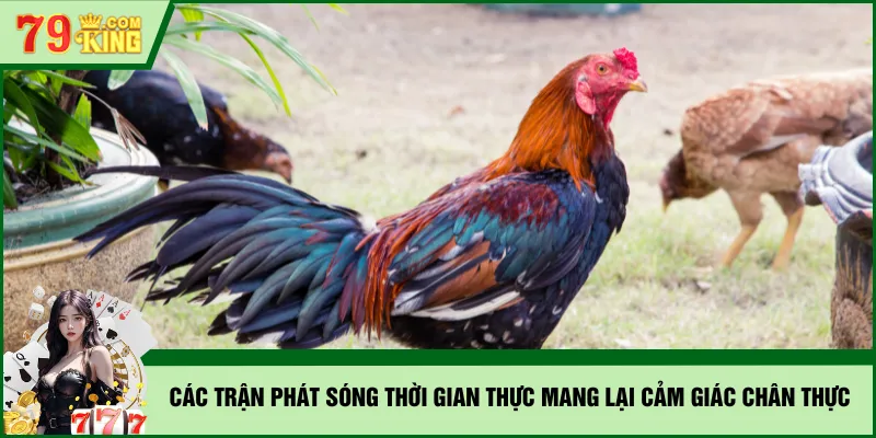 Các trận phát sóng thời gian thực mang lại cảm giác chân thực