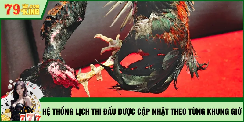 Hệ thống lịch thi đấu được cập nhật theo từng khung giờ