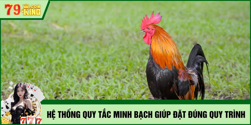 Hệ thống quy tắc minh bạch giúp đặt đúng quy trình
