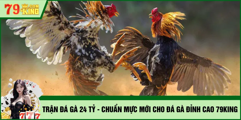 trận đá gà 24 tỷ