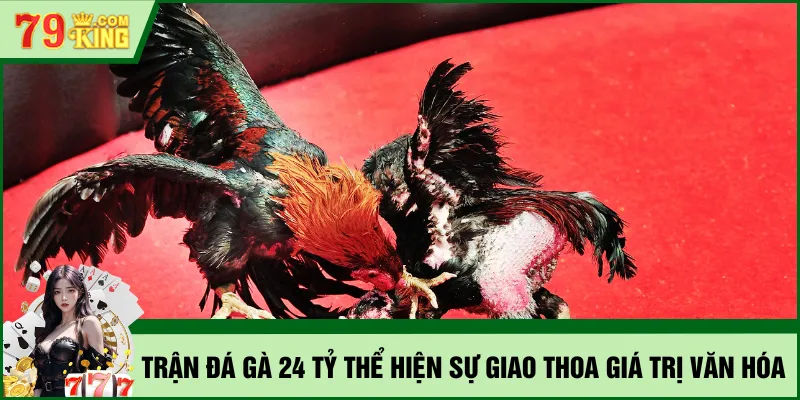Trận đá gà 24 tỷ thể hiện sự giao thoa giá trị văn hóa