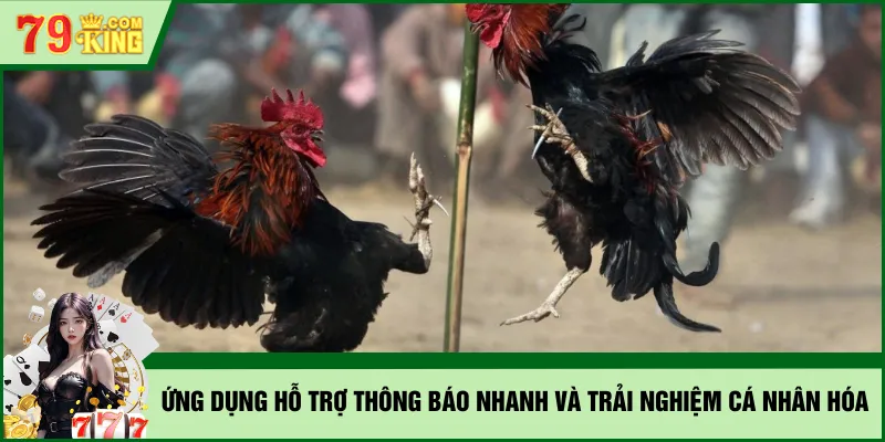 Ứng dụng hỗ trợ thông báo nhanh và trải nghiệm cá nhân hóa